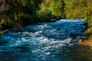 fast mountain river flows among the wooded banks