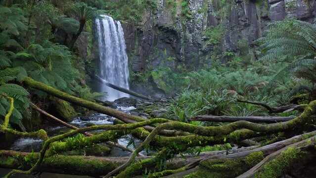 Australia wilderness nature. Hopetoun falls in Otway natinal park. Scenic view