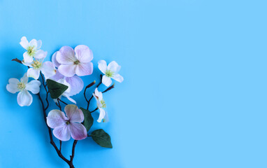 Branches of a pink apple tree on a light blue background. Spring flower arrangement. Background for a greeting card.