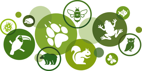 Biodiversity vector illustration. Green concept with icons related to the ecosystem, fauna & biology, different animals / wildlife, environmental protection, ecology, sustainability.