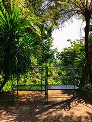 bench in the green tropical park. relax, mental health and digital detox concept