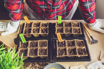 Woman's hands plant seeds at home.