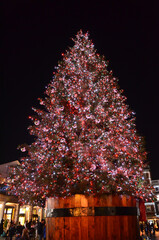 Christmas tree at night, Covent Garden, London