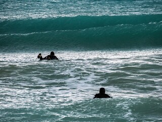surf