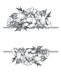 Graphic flowers black and white with line on white background in JPEG format hand drawn botanical illustrations sketch flowers