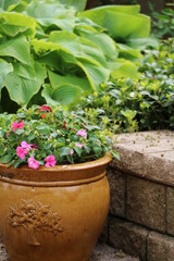 Fototapeta na wymiar Flower pots on the patio