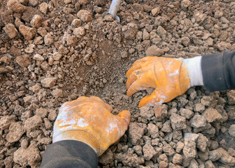 Farmer in yellow gloves digging dry soil. Digging and searching the deserted soil. Plowing the land. Growing vegetables on the balcony. 