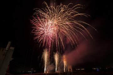 town fireworks with colored palm trees