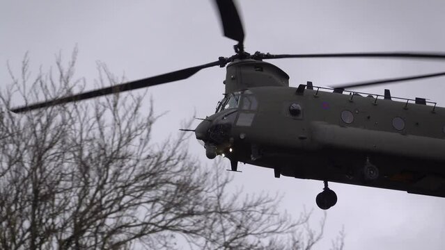 close-up of an RAF Chinook UH-1 helicopter on approach to landing, low over trees, light grey sky