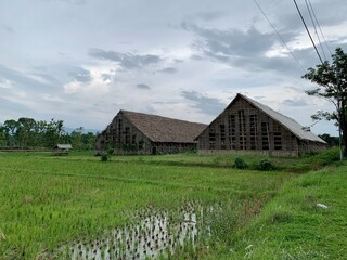 Obraz premium Traditional tobacco warehouse
