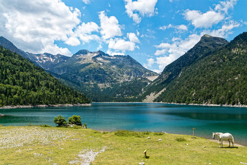 orédon lake with horse in front