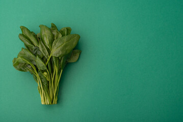 A bunch of green spinach on a green background