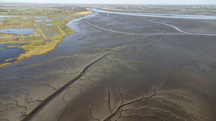 Luftaufnahmen von dem norddeutschen Wattenmeer an der Eider, Nordsee. Im Schlick und Watt sind bei...