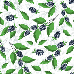 Vector seamless fruity pattern with blackberries on foliate twigs; perfect for wrapping paper, posters, banners, packaging, invitations and other design. - 490128667