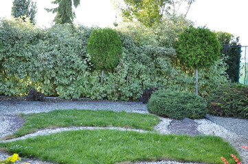 Landscaping of a garden plot. Flowers and plants in landscape design. 