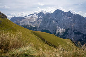 Mountain grass in the background of the Marmolada massif in the Dolomites. Italy.