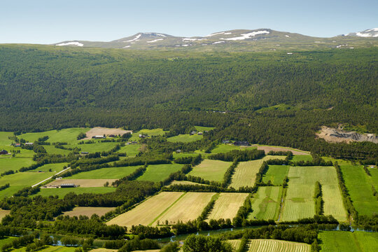 Green, agricultural fields in a valley, close to Dombas, Norway. Remote snow-covered mountains.