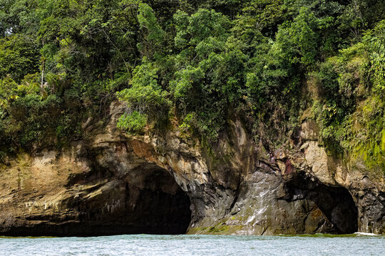 Closeup view of the rocks and trees near the coast of Buenaventura, Colombia
