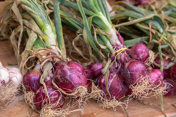 Rote Zwiebeln (Allium cepa), Marktstand