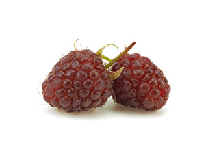 Ripe raspberry berries on a white background