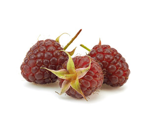 Ripe raspberry berries on a white background