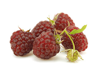 Ripe raspberry berries on a white background