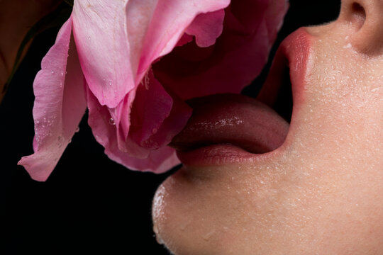 Pink lips. Sexy mouth and lips close up. Puffy lips. Pink lips with pink rose. Pink gloss lips. Natural puffy lips.