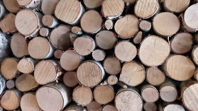 Full frame Wooden log texture background