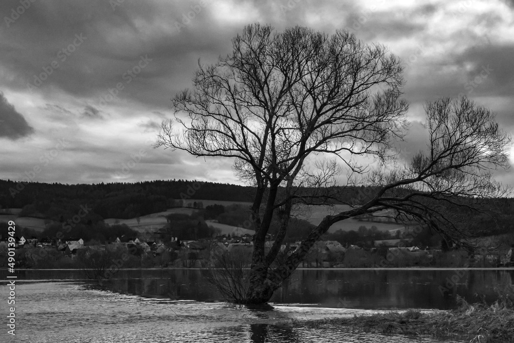 Poster grayscale view of a big lonely leafless tree in the middle of the lake against a cloudy sky