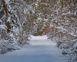 Snow-covered trail at the Harold N. Peek Preserve located in Millville, New Jersey, USA