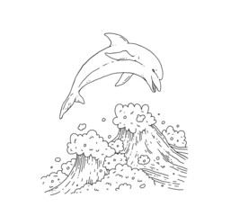 Dolphin jumping in sea waves. Playful aquatic animal. Doodle black white sketch line vector Illustration.