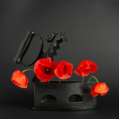 Papaver rhoeas flowers with 1920s charcoal iron box. Red poppies bloom on retro black background....