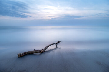 Beautiful shot of a seascape and a tree trunk under the cloudy skies - obrazy, fototapety, plakaty