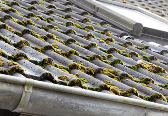 Dach roof Moos moss Dreck dirt Reinigung cleaning Dachpfanne roof tiles Dachbeschichtung...