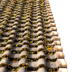 Dach roof Moos moss Dreck dirt Reinigung cleaning Dachpfanne roof tiles Dachbeschichtung...