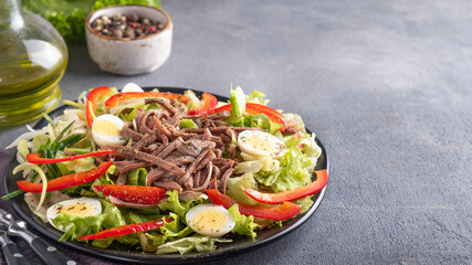 Salad with vegetables and beef tongue. Copy space