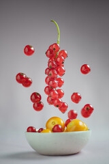 Red current berry in a flying levitation with clean background. Ripe physalis berries in the white bowl.