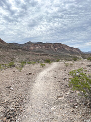 Winding Lonely Desert Trail in Big Bend National Park
