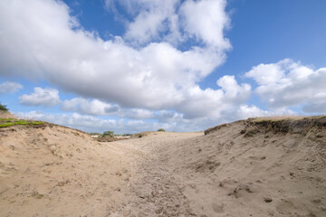 Leuvenumse bossen, Hulshortserzand