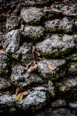 Vertical stone wall with moss, textured background Mayan ruins in archaeological zone in Mexico. Abstract pattern.  Close up, gray rough surface for background or wallpaper. Mexican jungle