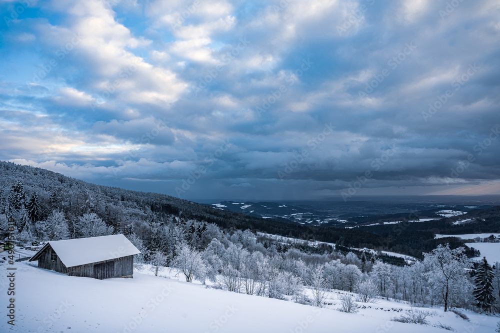 Sticker winter forest with snow in the bavarian forest. harsh winter