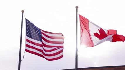 Flags in the wind pan 