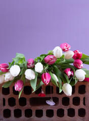 Obraz premium front view martisor decoration in front of red brick , many white and pink tulips above the martisoare