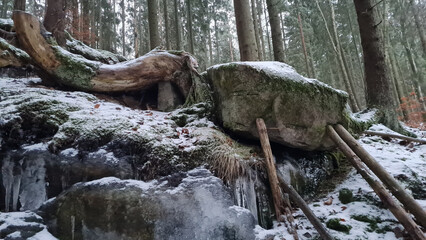 Closeup shot of frozen cascade in a winter forest