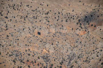 desert landscape in the summer
