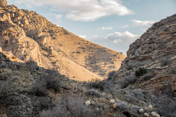 landscape of the mountains in evening