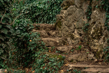 Earthy brown staircase in greenery