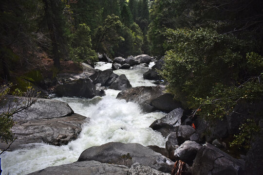 Scenic View Of A Forest River With Raging Rapids And Big Rocks