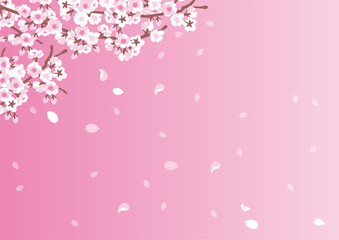 春の桜と花びらが舞うピンクの背景