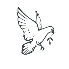 Vector drawing of the dove of peace